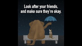 Take Care of Your Friends [GMG Originals]