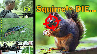 FX Impact VS Kalibrgun Cricket + squirrel hunt (feat. 912 Airguns)