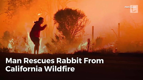 Man Rescues Rabbit From California Wildfire