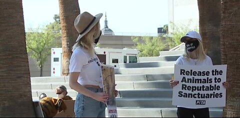 PETA protest today in Las Vegas