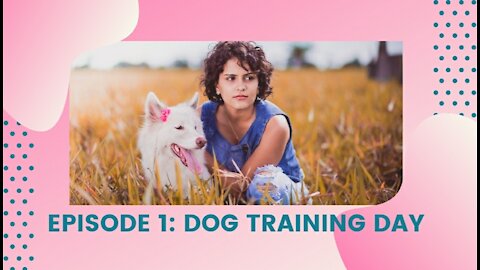 Brain Training For Dogs🐕