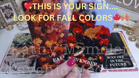 💖THIS IS YOUR SIGN....LOOK FOR FALL COLORS🍁🍂AN AMAZING NEW BEGINNING🍂🍁😲✨COLLECTIVE LOVE TAROT 💓✨