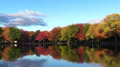 🎶🎧Tranquil Pond and Colorful Trees: Soothing Piano Music for Relaxation ||