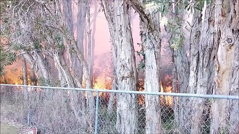 Gold Coast park in fire- Burleigh Water, Australia