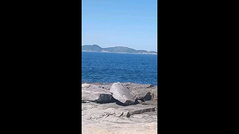 praia das conchas cabo frio