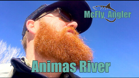 Fly Fishing for TROUT on the Animas River in Durango, CO - McFly Angler Episode 5