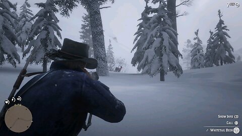 Hunting 15 - Red Dead Redemption 2