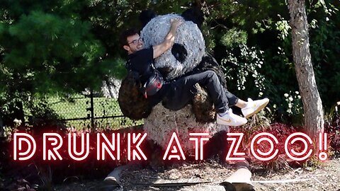 Drunk at Zoo!