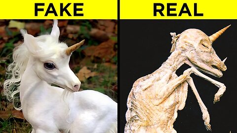 Mythical Creatures That Actually Exist In Real Life