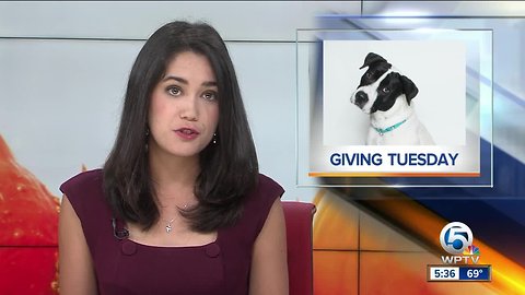 Treasure Coast Humane Society seeking to give 180 pets to veterans