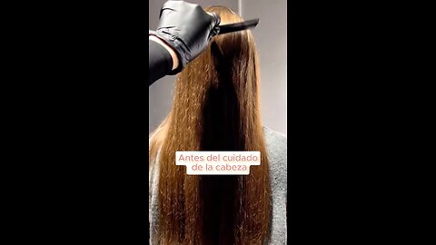 Define la excelencia para tu cabello