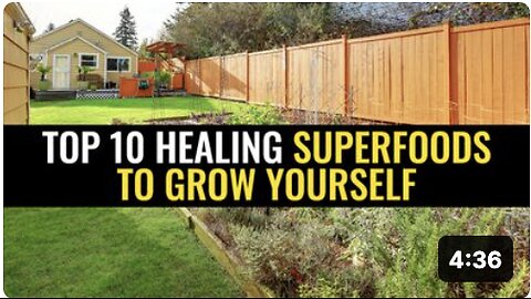 Top 10 healing superfoods to grow yourself