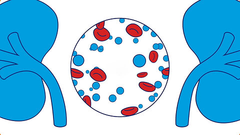 👉Know Type 1 Diabetes ¦ 2 Minute Guide