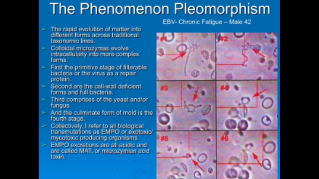 The Validation of Biological Transformation or Pleomorphism of the Red ...