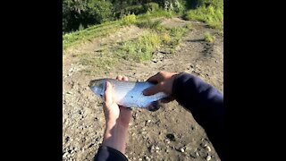 First goldeye fishing