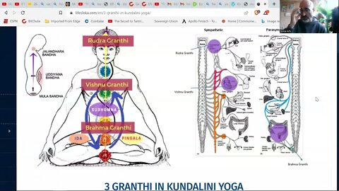 Liberating the Flow of Your Life Force, the Bandhas Explained!