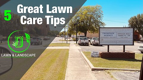 5 Of The Best Lawn Care Tips For Starters || Ds Lawn And Landscape