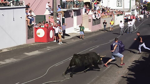 Marrada Na Vila Nova - Touro 86 Rego Botelho