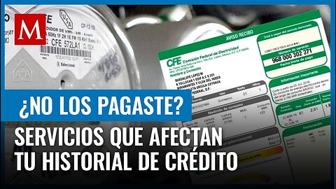 No pagar a tiempo estos servicios puede contribuir a un mal historial crediticio; te decimos cuáles