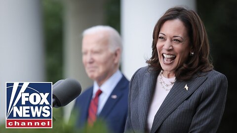 Kamala Harris 'joked' about back-up plan if she loses 2024: Report