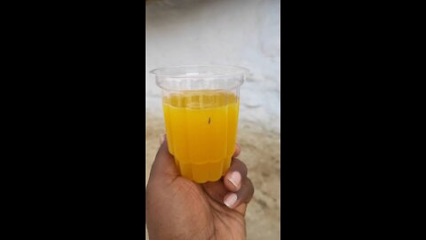 Indian Mosquitoe drink on mango juice 2021 @apramodkumar