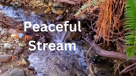 Gentle Stream Sounds are the best for Relaxation, Sleep, insomnia