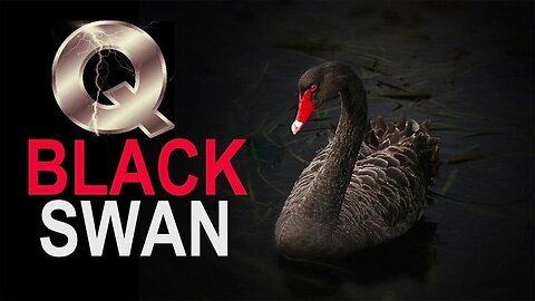 Black Swan - Trump - I Love The Truth - 3/28/24..