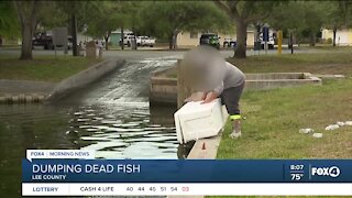 FWC warns against fish dumping