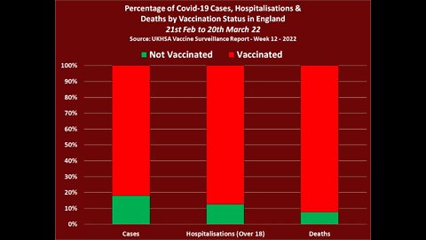 'The Data Keeps Getting Worse & WORSE. New 50,000 Page Doc Dump From Pfizer Reveals HORRIFYING Adver