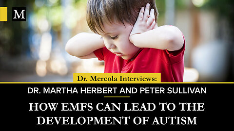 How EMFs Can Lead To The Development of Autism – Interview With Dr. Martha Herbert & Peter Sullivan