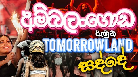 Tomorrowland සද්දේ ගැන ඇත්ත කතාව දන්නවද? | WAYO LIVE @ Ambalangoda with Dhanith - Chitral - Jaya Sri