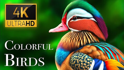 The Most Colorful Birds in 4K - Beautiful Birds Sound in the Forest | Scenic Relaxation Film