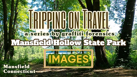 Tripping on Travel: Mansfield Hollow State Park IMAGES