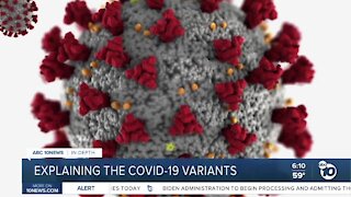 In-Depth: Breaking down the COVID-19 variants