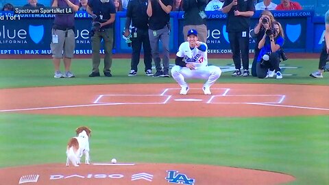 Decoy the Dog & Shohei Ohtani with the first pitch of the game.