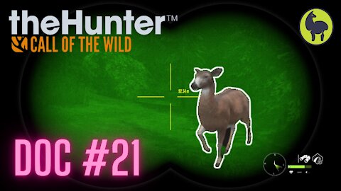 The Hunter: Call of the Wild, Doc #21