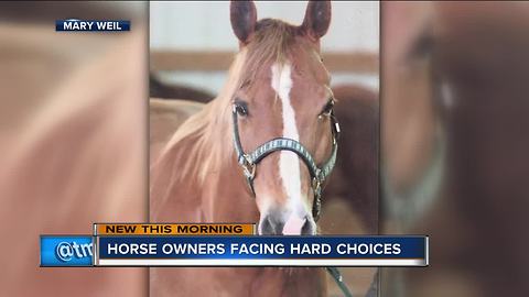 Wisconsin horse owners face tough choices when putting down animal