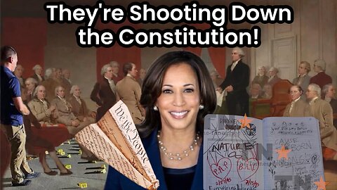 They're Shooting Down the Constitution