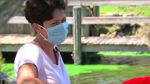 The impact of red tide, blue-green algae in the Treasure Coast