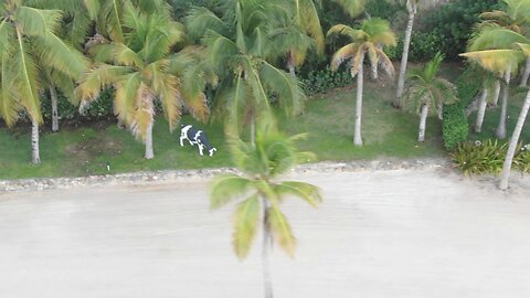 Epstein's Pedophile Island, Little St. James USVI Drone July 2019 8 (1/2)