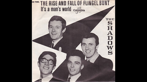 The Shadows --- The Rise And Fall Of Flingel Bunt