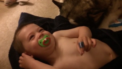 Dog helps toddler "dry off" after bath