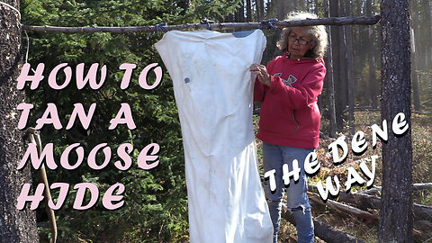 Scraping Moose Hides and Tanning - The DENE THA' WAY