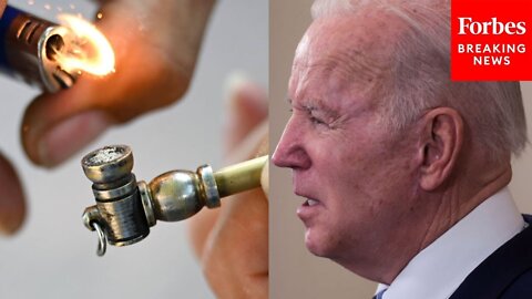 'I Have Two Words For You Today -- Crack Pipes': GOP Senator Goes After Biden On Senate Floor