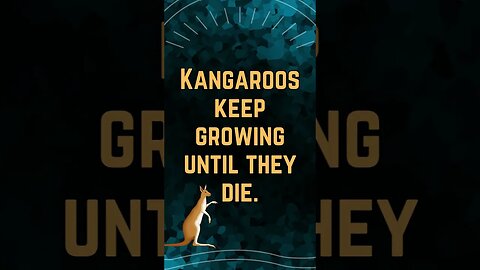 🦘Discover Fascinating Animal Facts👀 #shorts #shortsfact #animalfacts #kangaroo #growth #grow