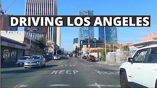 Driving Los Angeles