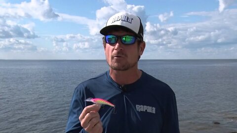 MidWest Outdoors TV show #1572 - Tip of the Week on the Rapala ScatterRap Tail Dancer.