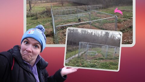 My RABBIT COLONY Setup -- These Will Be Some Sweet Digs…