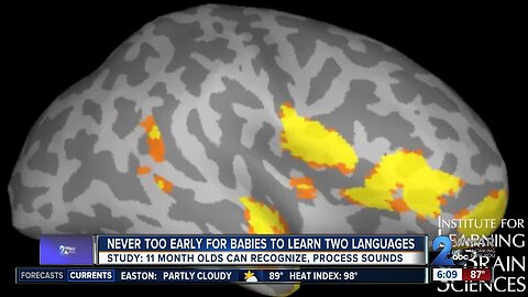 Study shows its never too early for children to learn multiple languages