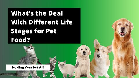 What's the Deal with the Different Life Stages of Pet Food?: Facts & Fiction